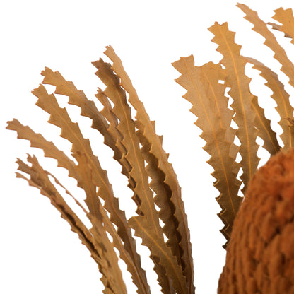 Vickerman 12" Autumn Banksia Flower with dyed foliage. Includes 25 Stems per Pack. Dried