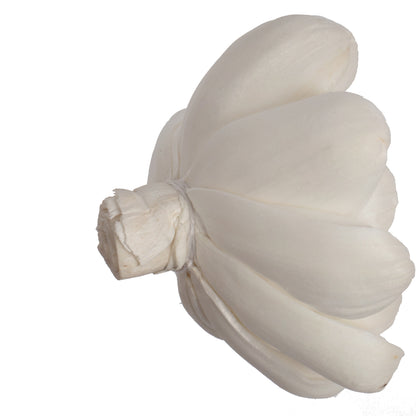 Vickerman Natural Botanicals 1.6"/2.4"/3.2" Assorted Natural Dried Crocus Sola Flower Head 24/bag.
