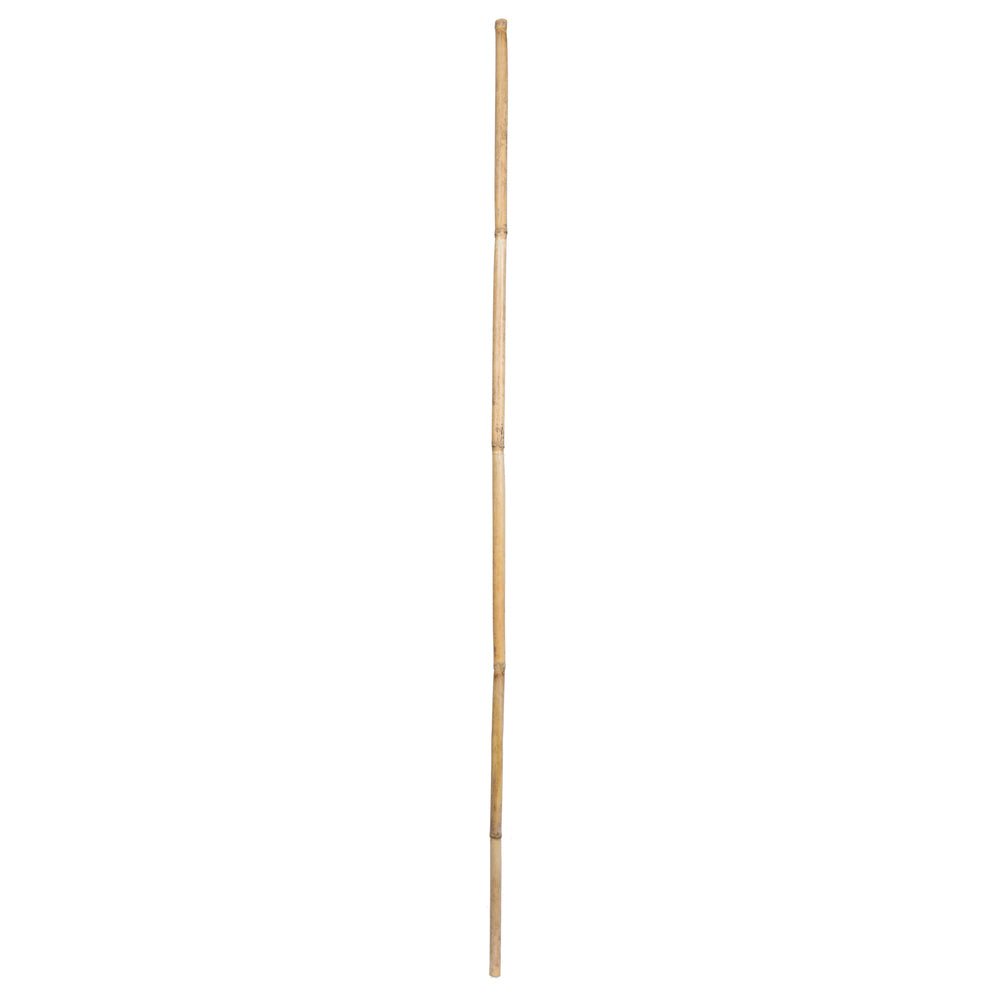 Vickerman Natural Botanicals 40" Bamboo Reed Natural Clean. Includes 100 pieces per pack.