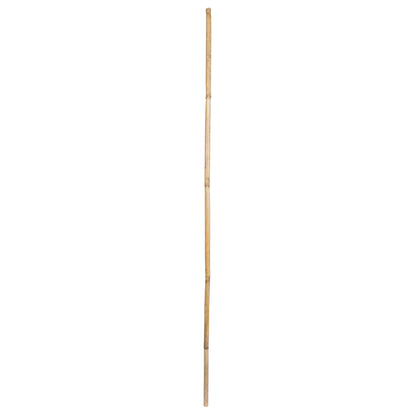 Vickerman Natural Botanicals 40" Bamboo Reed Natural Clean. Includes 100 pieces per pack.