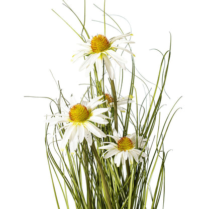 Vickerman 24" Artificial Potted Green Grass and Daisies.