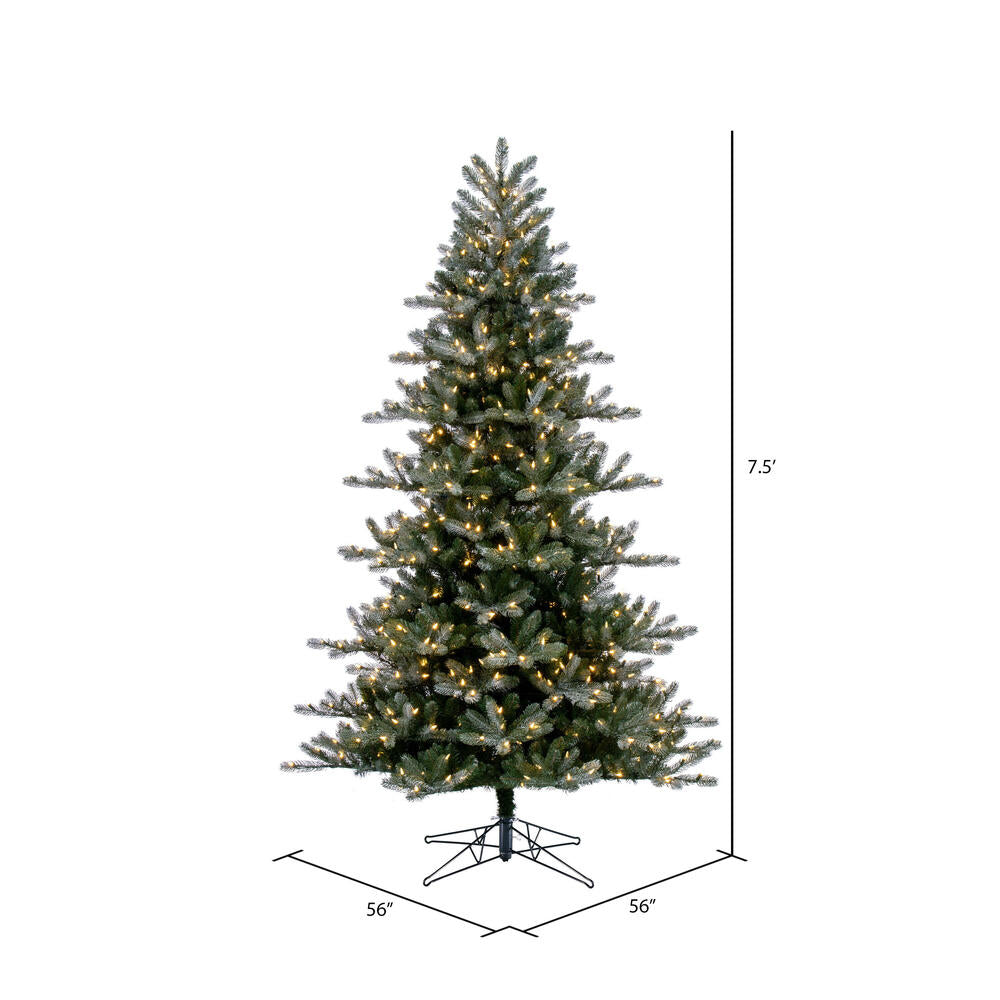 Vickerman 7.5' x 56" Frosted Danbury Spruce Artificial Pre-Lit Christmas Tree Warm White Lights.