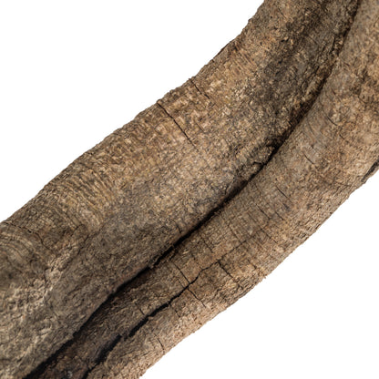 Vickerman 72-84" Natural Jungle Vine Giant* 1 piece Dried