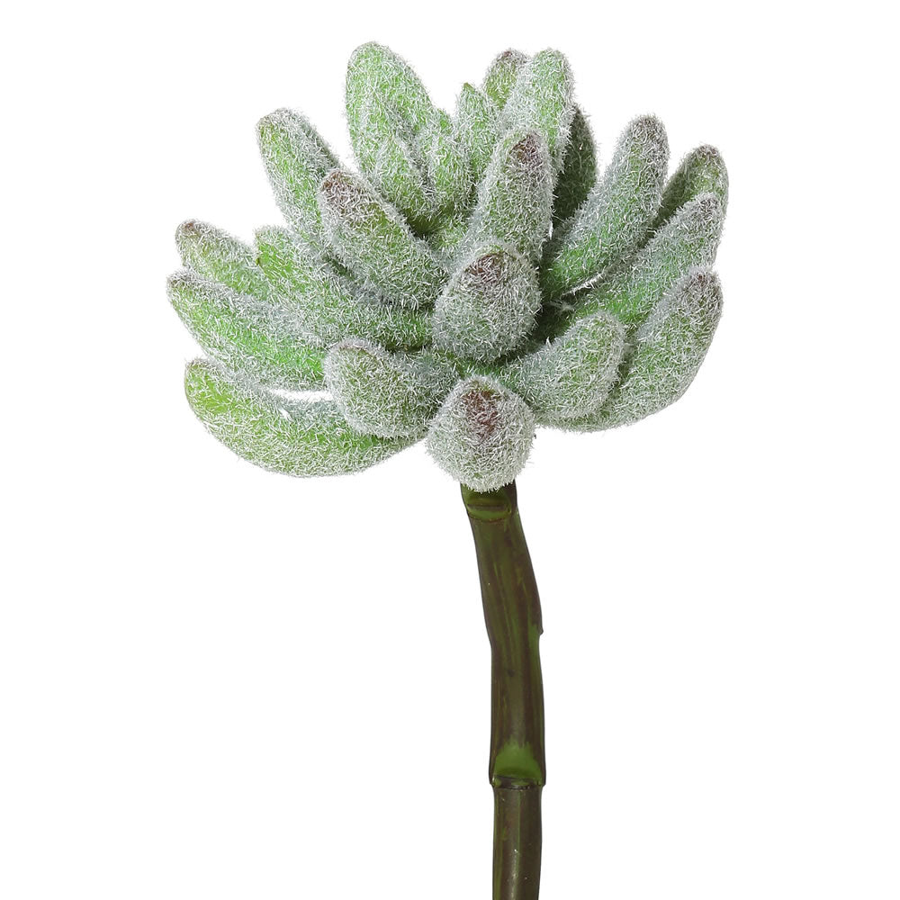 Vickerman 6" Artificial Frosted Crassula Pick Set of 3