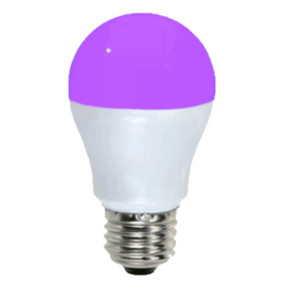 Damar A15 LED Purple Light Bulb 5W 140 Lumen E26 Medium Screw Base for Party Decoration Holiday Lighting Small Light Bulb 120V 200° Beam Angle White Finish Turns Purple When Lit Pack of 3