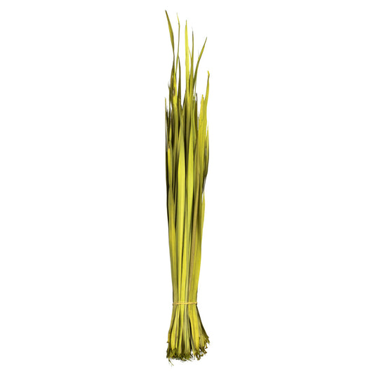 Vickerman 18-23" Basil Coco Palm Leaf Bundle.  Includes 8oz (2 -4oz Bundles) Dried