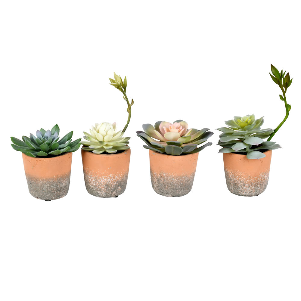 Vickerman Set of 4 Assorted 7" Artificial Potted Succulents Set of 4