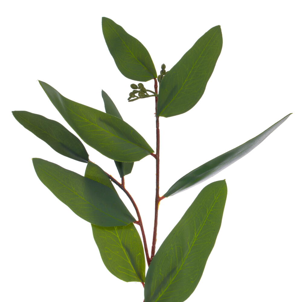 Vickerman 60" Artificial Green Seeded Willow Eucalyptus Garland