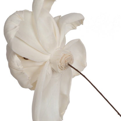 Vickerman Natural Botanicals 4" Natural Dried Roestte Sola Flower on 12" wire stem- 12 stem/polybag.