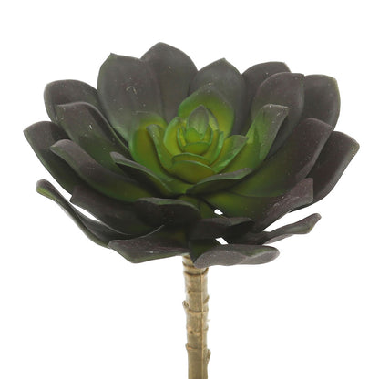 Vickerman 5.75" Artificial Green Echeveria Pick Set of 3