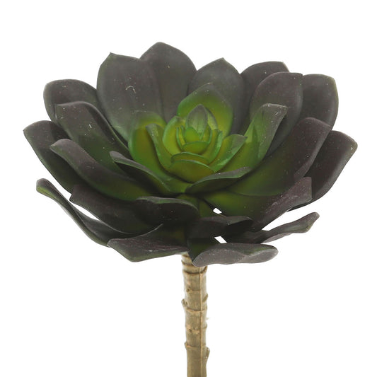 Vickerman 5.75" Artificial Green Echeveria Pick Set of 3