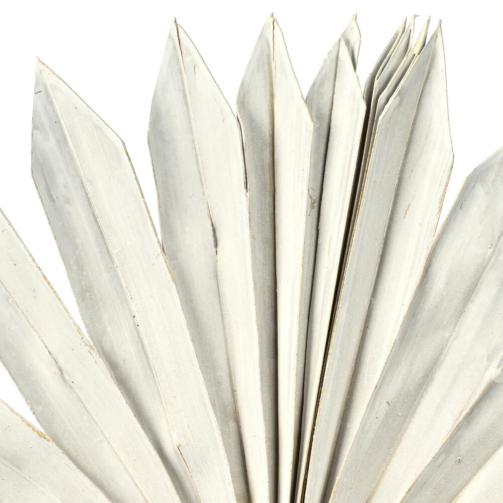 Vickerman Natural Botanicals 13.75 - 19.5" White wash Dried Palm Sun Spear 12 per bag.