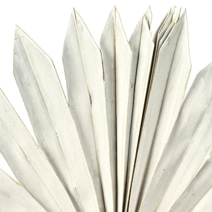 Vickerman Natural Botanicals 13.75 - 19.5" White wash Dried Palm Sun Spear 12 per bag.