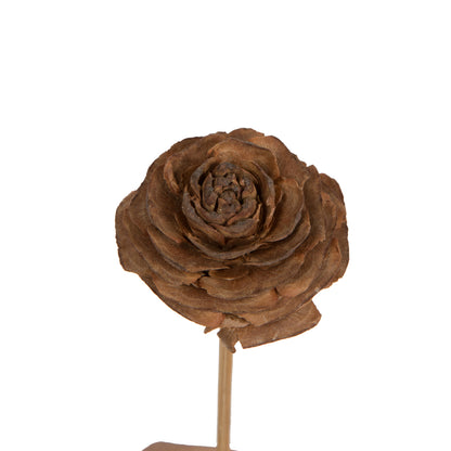 Vickerman Natural Botanicals 1.3"-1.75" Cedar Rose Natural on Stem. Includes 50 pieces per polybag.