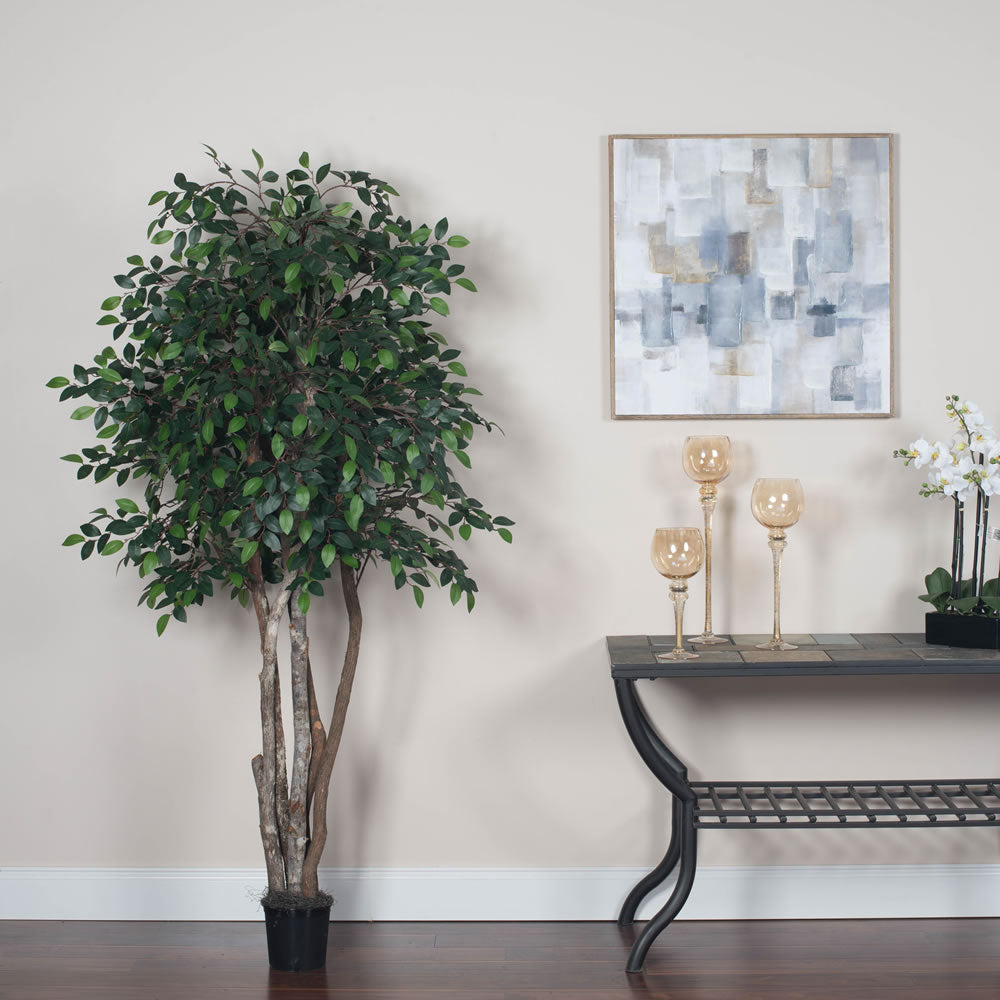 Vickerman 6' Artificial Mini Ficus Executive Black Plastic Pot