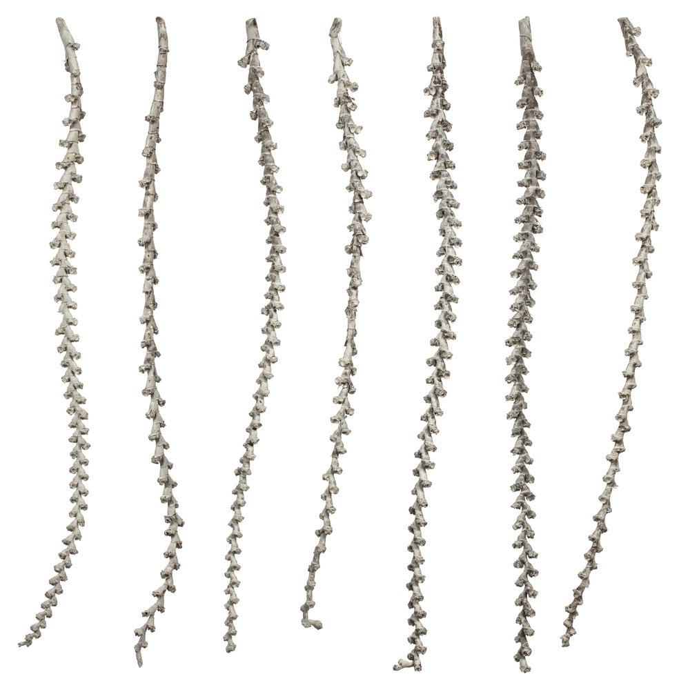 Vickerman 40-48" Light White Wash Ladder Branches - XL straight 7 stems Dried