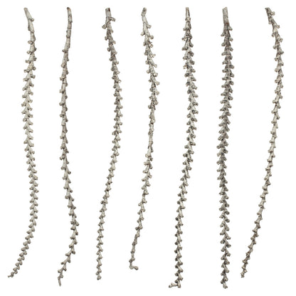 Vickerman 40-48" Light White Wash Ladder Branches - XL straight 7 stems Dried