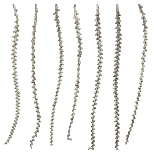 Vickerman 40-48" Light White Wash Ladder Branches - XL straight 7 stems Dried