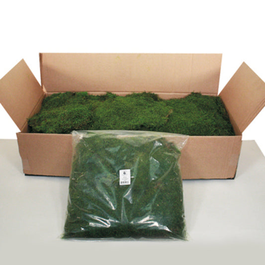Vickerman Box Green Moss Sheet - 6.6 Lbs Bulk Case Preserved
