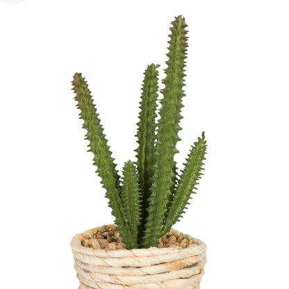 Vickerman 5" Artificial Potted Succulent Plants.