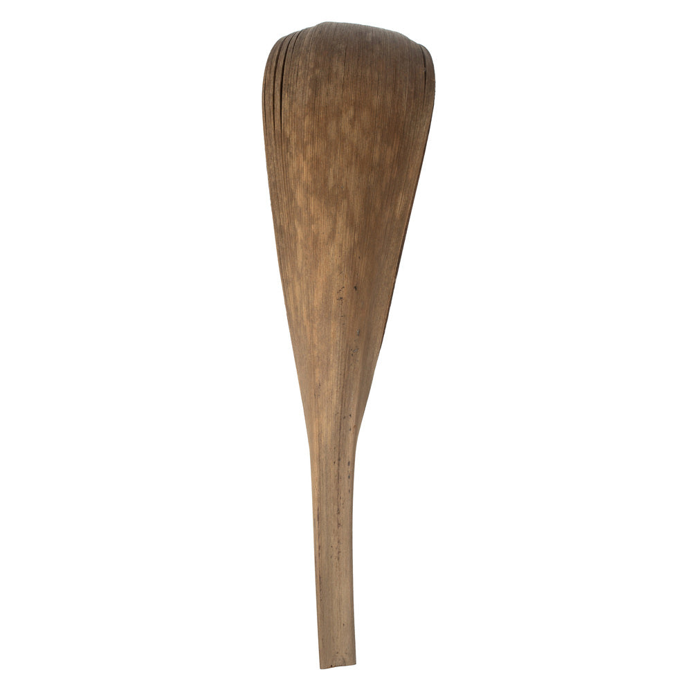 Vickerman 33-40" Natural Palm Paddle 3 pack Dried