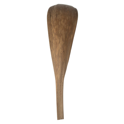 Vickerman 33-40" Natural Palm Paddle 3 pack Dried