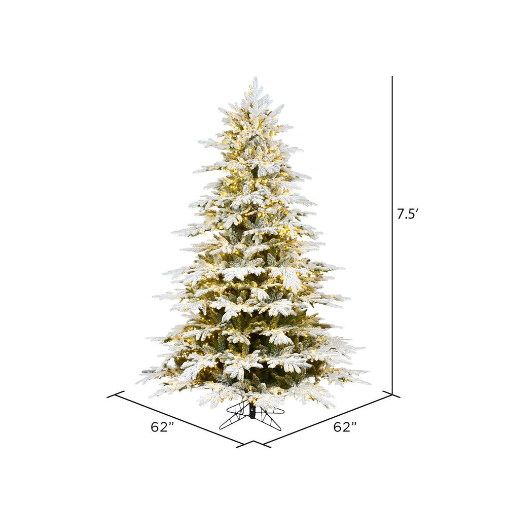 Vickerman 7.5' x 62" Flocked Kamas Fraser Tree Warm White Low Voltage 3MM LED Lights.