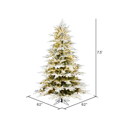 Vickerman 7.5' x 62" Flocked Kamas Fraser Tree Warm White Low Voltage 3MM LED Lights.