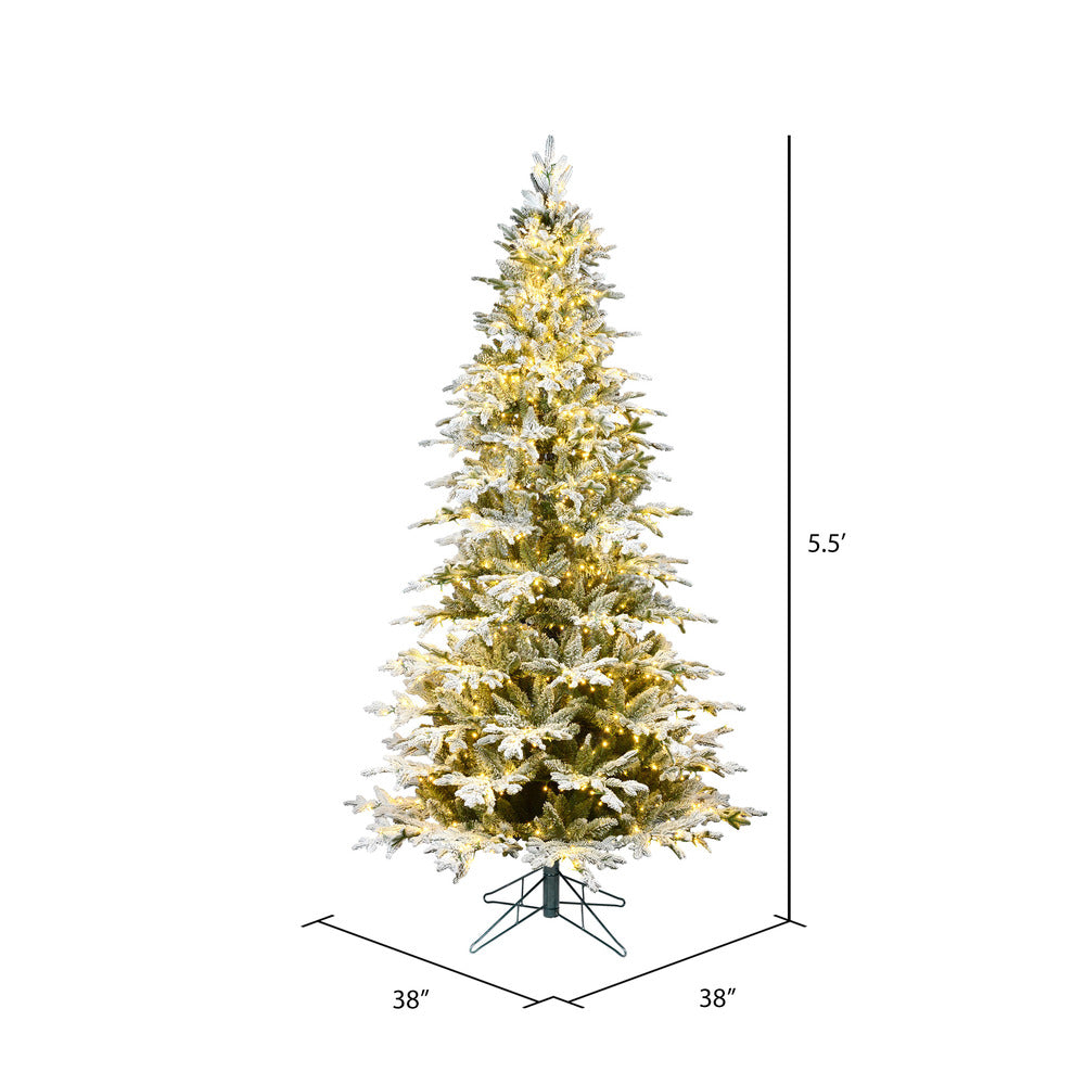 Vickerman 5.5' x 38" Flocked Kamas Fraser Tree Warm White Low Voltage 3MM LED Lights.