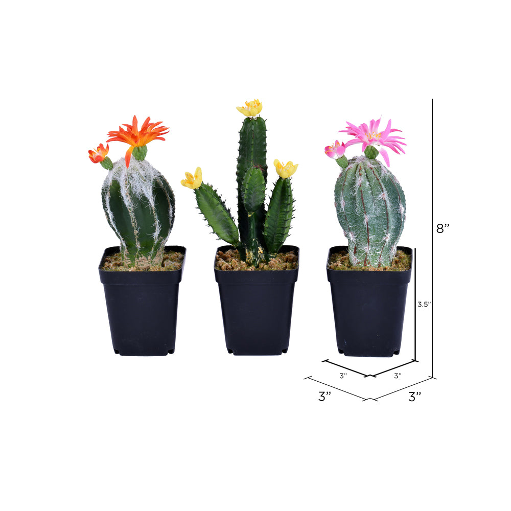 Vickerman 8" Artificial Cactus Black Plastic Planters Pot Set of 3