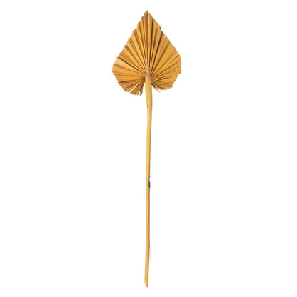 Vickerman Natural Botanicals 15.75 - 19.5" Aspen Gold Dried Palm Spear 12 per bag.