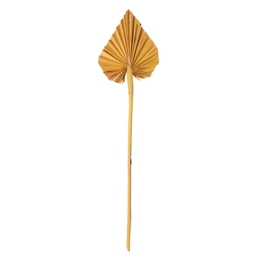 Vickerman Natural Botanicals 15.75 - 19.5" Aspen Gold Dried Palm Spear 12 per bag.