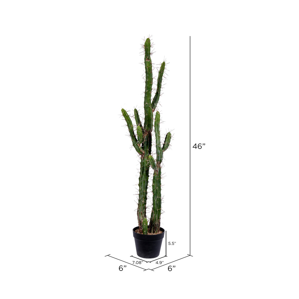 Vickerman 46" Artificial Green Cactus Black Plastic Planters Pot.