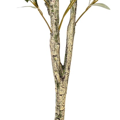 Vickerman 60" Artificial Green Olive Tree in Black Planters Pot.