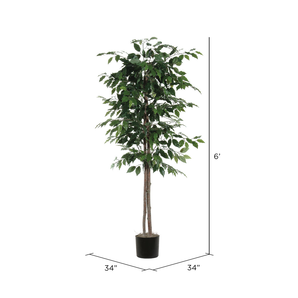 Vickerman 6' Artificial Ficus Black Plastic Pot
