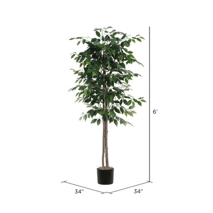 Vickerman 6' Artificial Ficus Black Plastic Pot