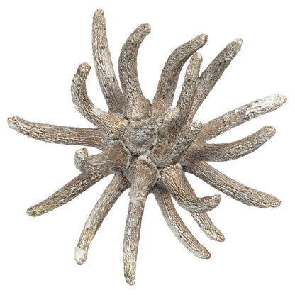 Vickerman 3-4" Frosted White Spider Claws Includes 16-20 pieces per tray Dried