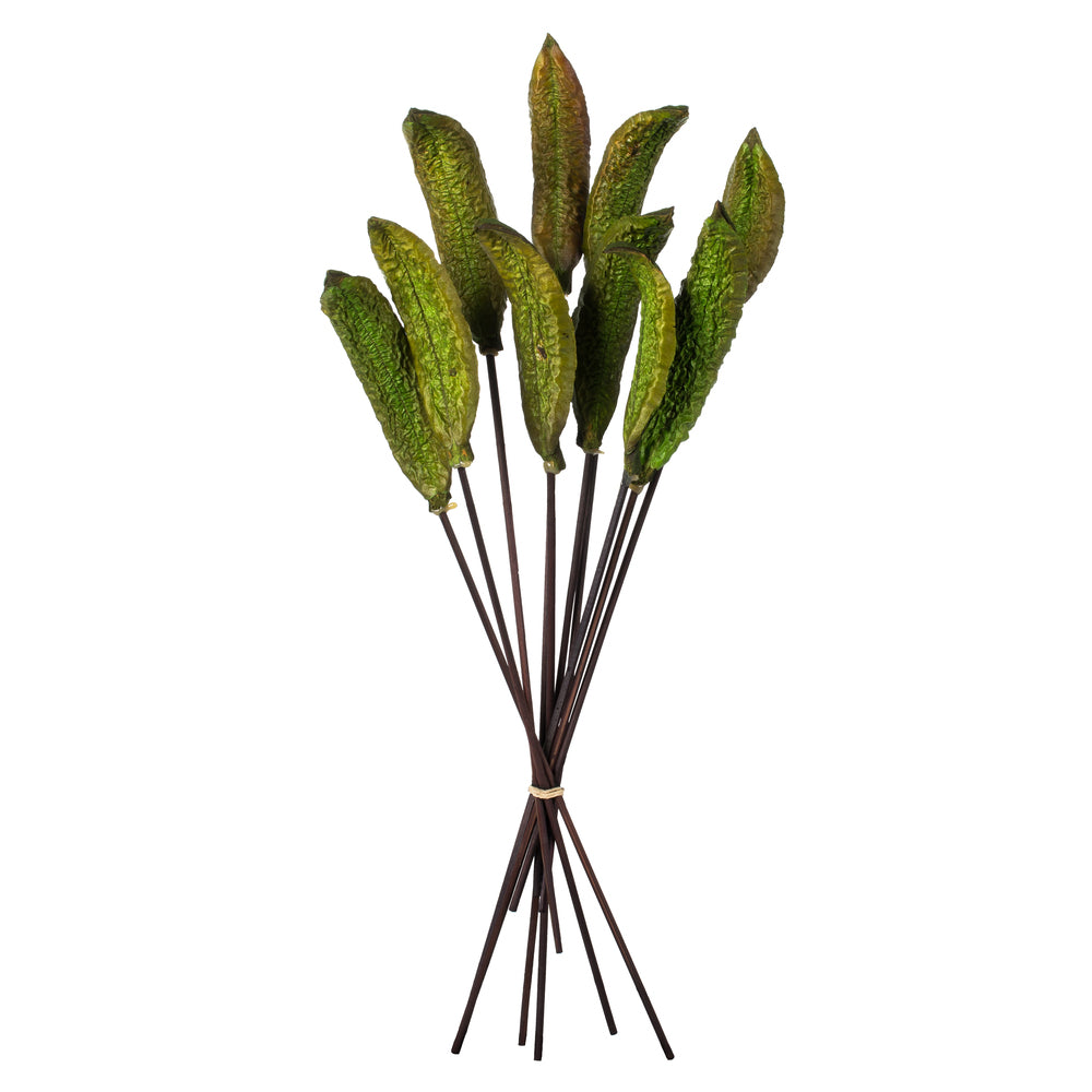 Vickerman 18-22" Basil Estrella 10 stems Dried