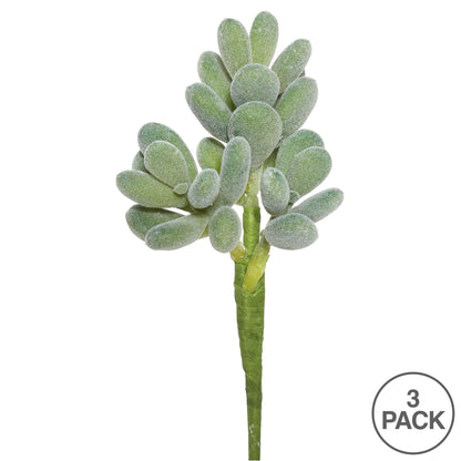 Vickerman 7" Artificial Frosted Crassula Pick Set of 3