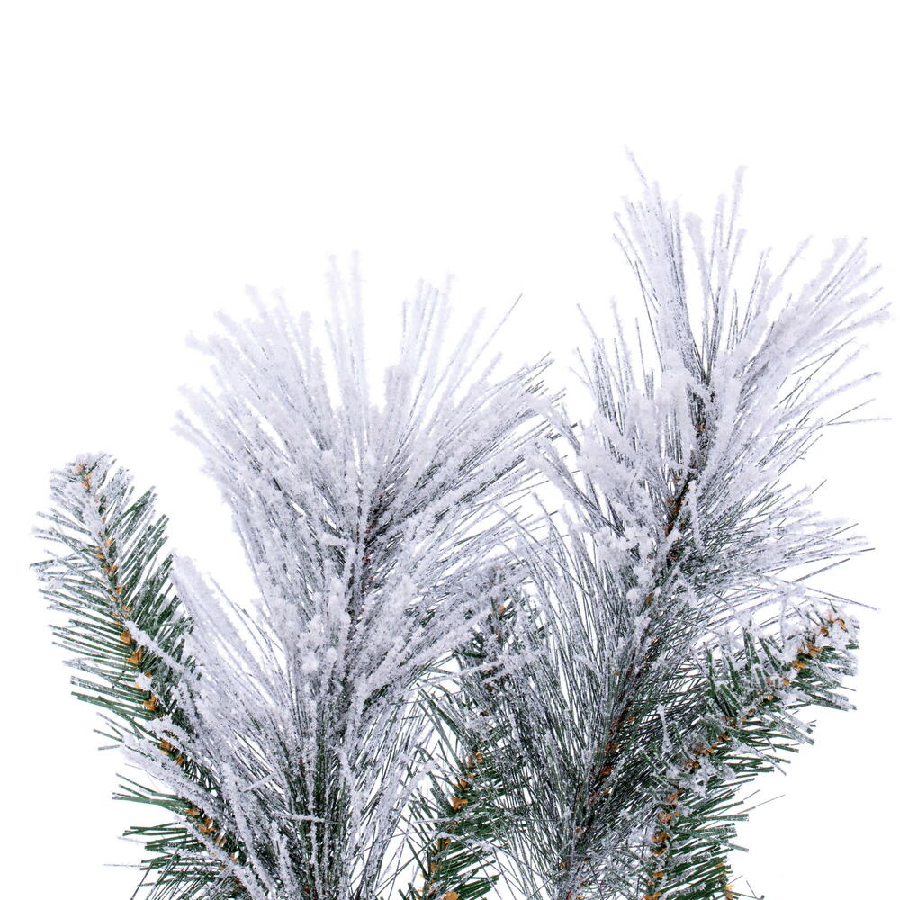 Vickerman 9' x 14" Flocked Jackson Pine Unlit Artificial Garland with 160 PVC Tips