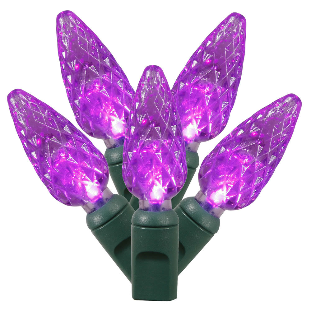 Vickerman 200 Purple C6 LED Light on Green Wire 100' Christmas Single Mold Light Strand