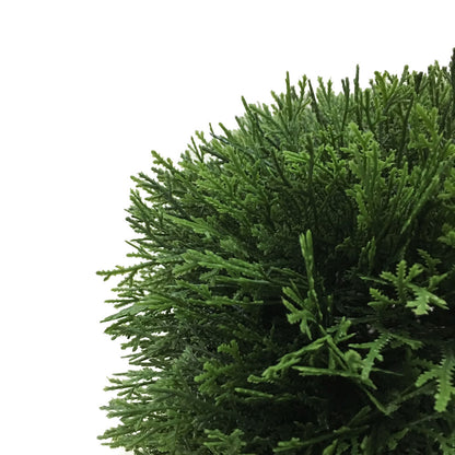 Vickerman Artificial 24" Green Cedar Hedge.