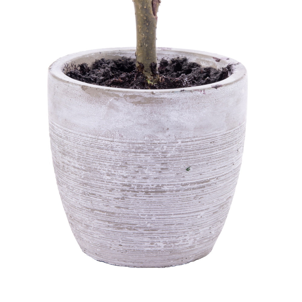 Vickerman 19" Artificial Blue Spruce Sapling Potted.