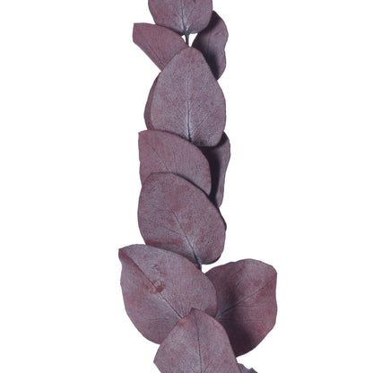 Vickerman Natural Botanicals 18-20" x 9" Eucalyptus Spiral Red 100 grams per unit