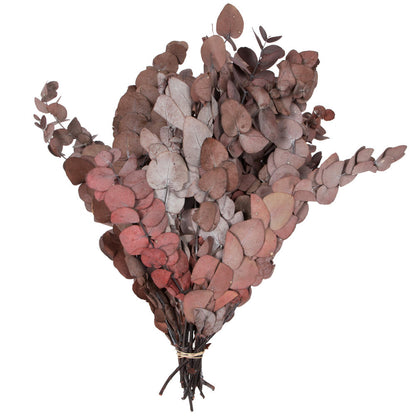 Vickerman Natural Botanicals 18-20" x 9" Eucalyptus Spiral Red 1 lb per unit