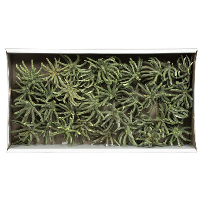Vickerman 3-4" Frosted Green Spider Claws Includes 16-20 pieces per tray Dried