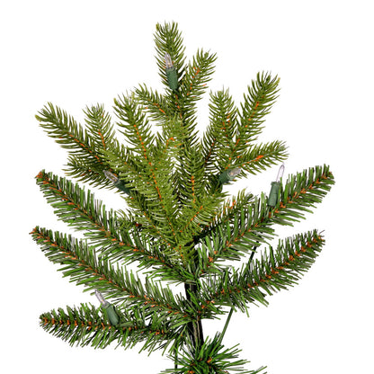 Vickerman 5.5' x 40" Porthill Pine Artificial Christmas Tree Unlit