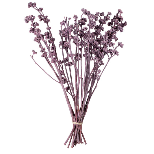 Vickerman Natural Botanicals 13" x 1-3" Red Gum Branch Brombeer Frosted 14 stems per unit