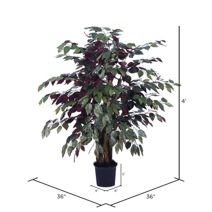 Vickerman 4' Artificial Capensia Extra Full Bush Black Plastic Pot.