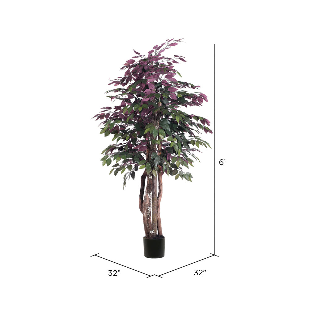 Vickerman 6' Artificial Capensia Executive Black Plastic Pot